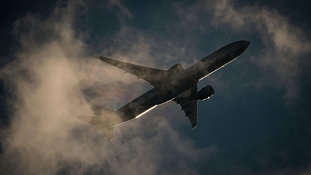 Air Arabia не доставила багаж и отменила рейс в Москву из-за тумана