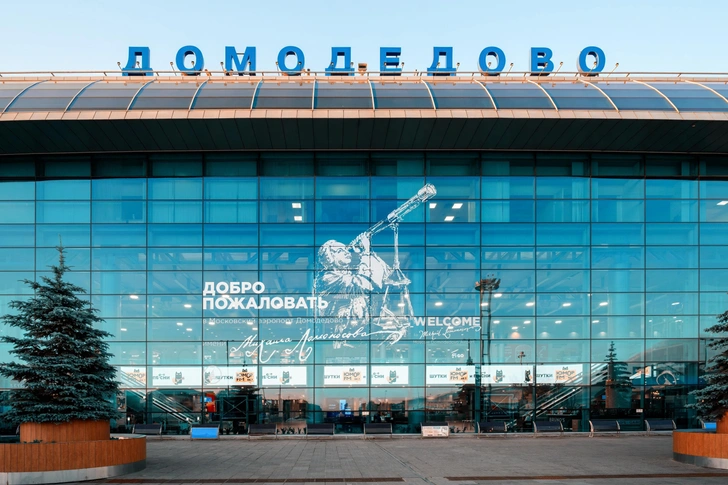 «Есть желающие»: московский аэропорт Домодедово выставят на продажу в начале 2026 года