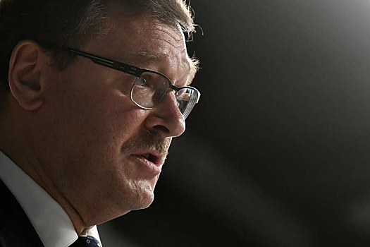 В Совфеде заявили о &laquo;дурацком&raquo; положении европейцев