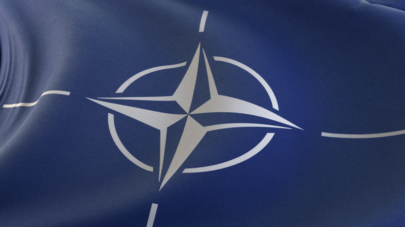 Канадского военного из бригады НАТО нашли мертвым недалеко от Риги