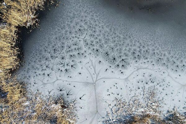 Зима рисует пейзажи: заснеженные полотна с высоты птичьего полета (фото)
